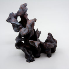 Terre-FormatCarre-7-2022.jpg
