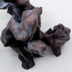 Terre-FormatCarre-8-2022.jpg