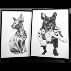 catdog_13.03.20.jpg