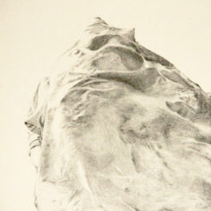 Murmures-détail-2-graphite-sur-papier-cartonné-récupéré-405-×-26-cm-2021.jpg