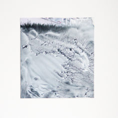 Recouvrement1-gouache-sur-tirage-photographique-199-×-183-cm-2021-Alison-Vignault-LD.jpg