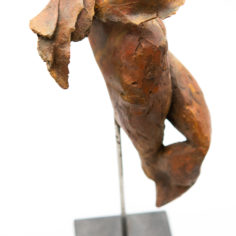 Terre-125.jpg